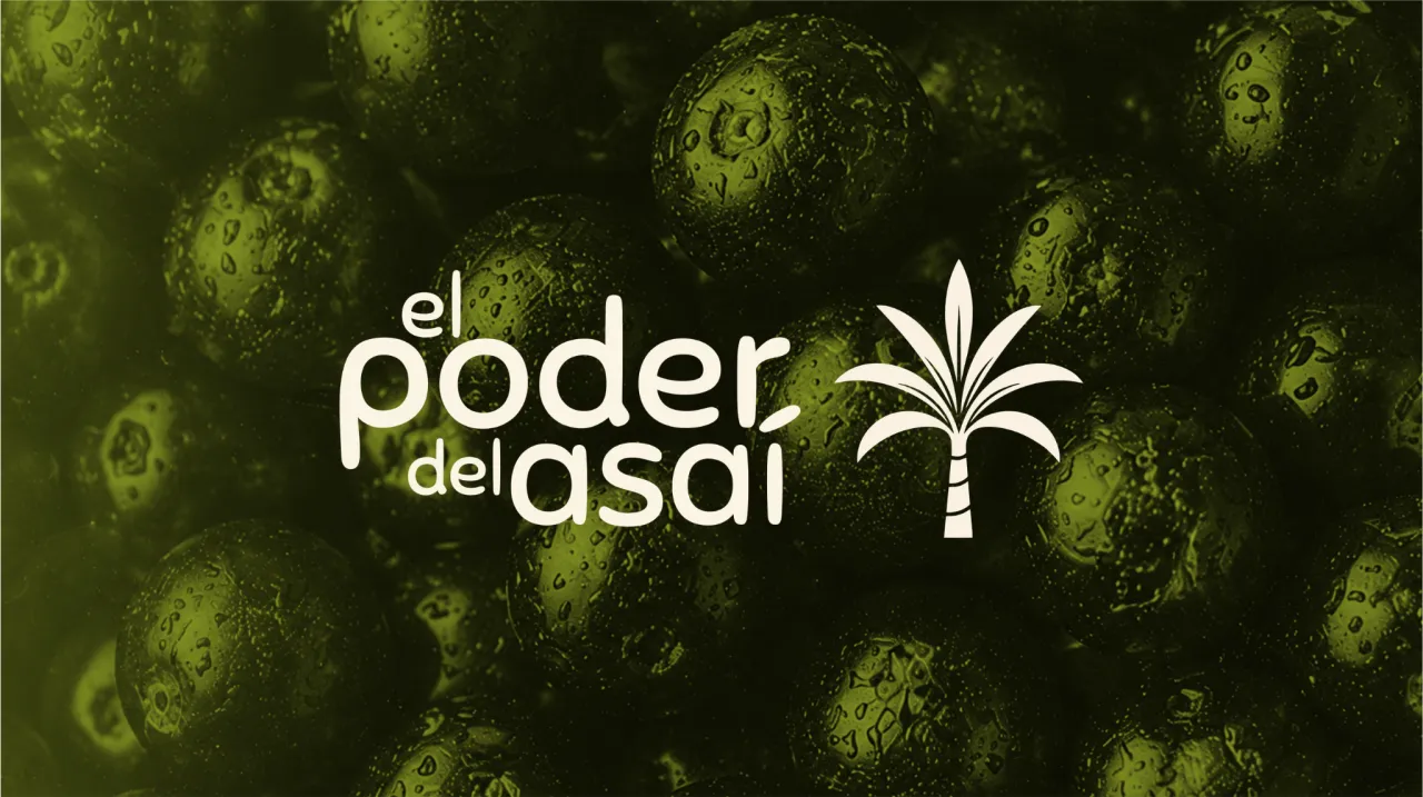 Selección y lavado de frutos de açaí